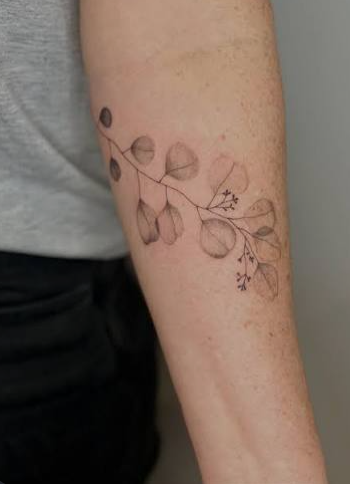 Fine line eucalyptus branch tattoo reference on an arm